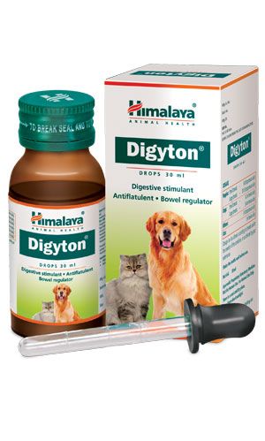 Medicine for cat outlet loose motion