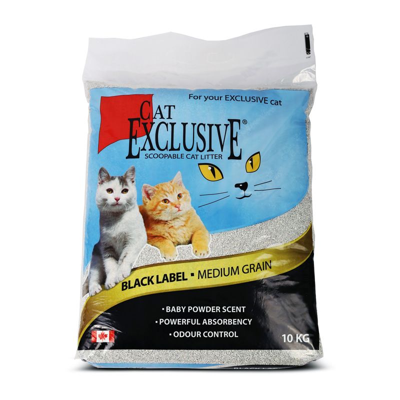 Intersand 2024 cat litter