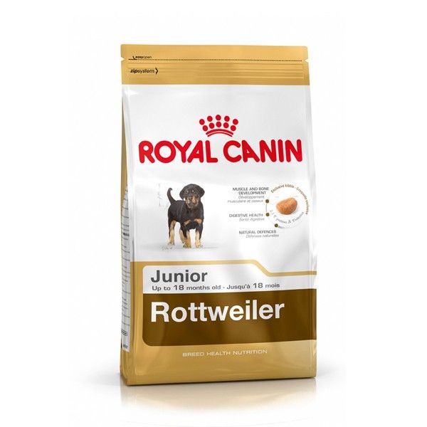 Anders Zaklampen Maak avondeten Royal Canin Rottweiler Junior Dog Food 12 kg
